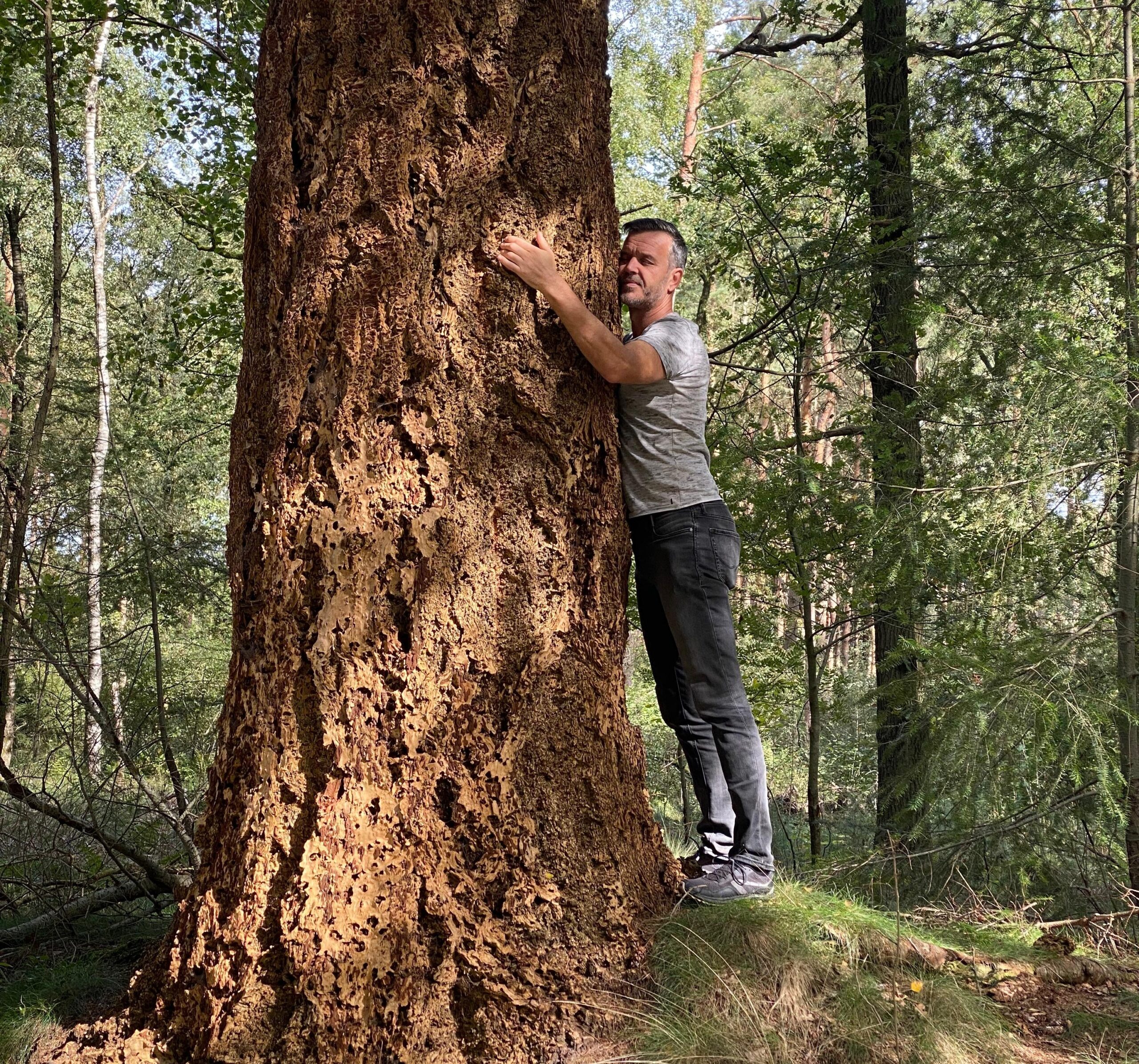 innerlijke stilte vrijheid waarheid liefde stilte intuïtieve coaching heel en compleet didi klazinga
